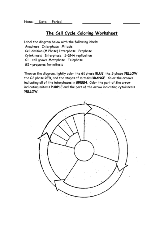 color-dna-worksheet