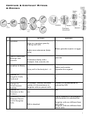 Mitosis & Meiosis T-chart Answers