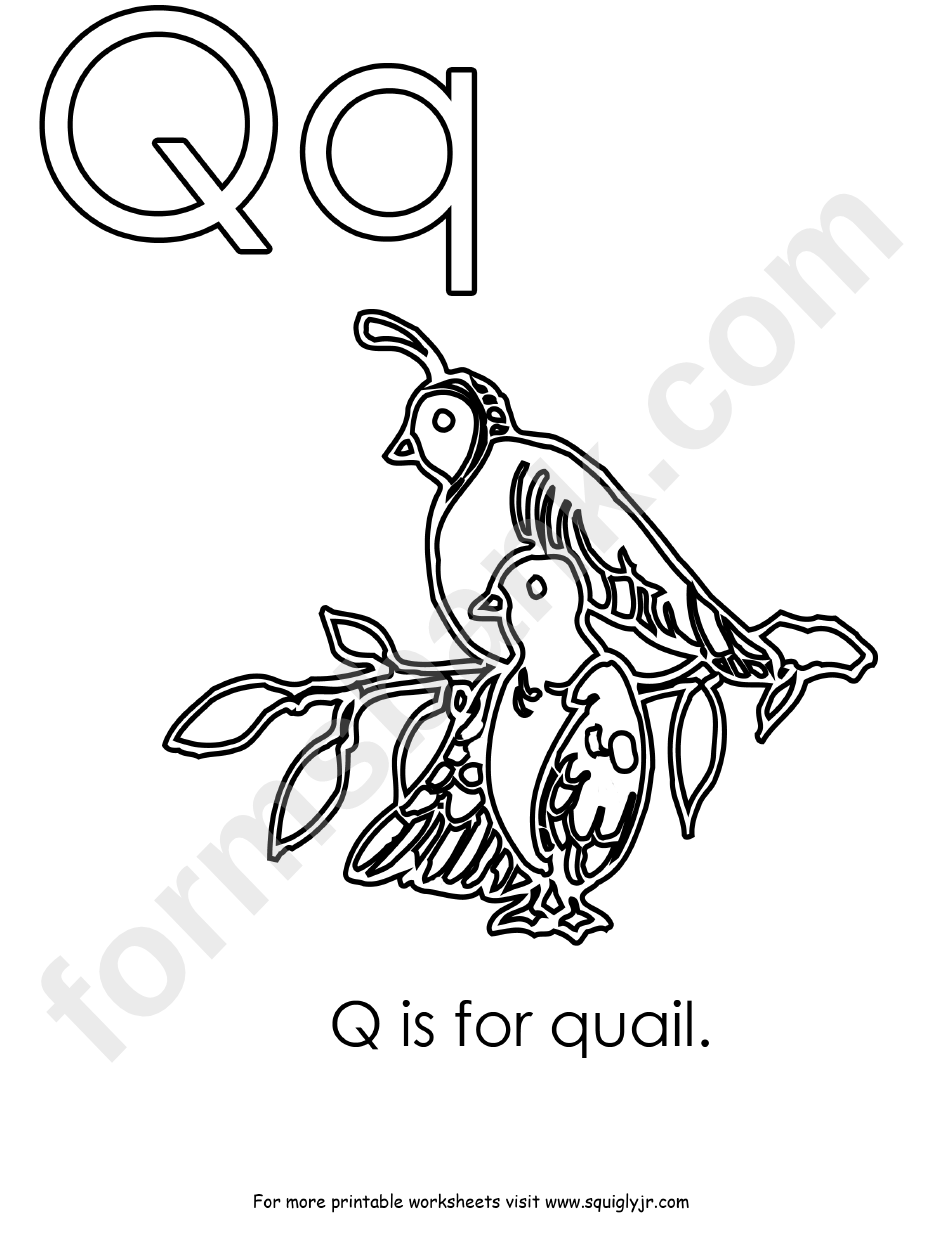 Q Is For Quail