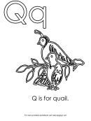 Q Is For Quail