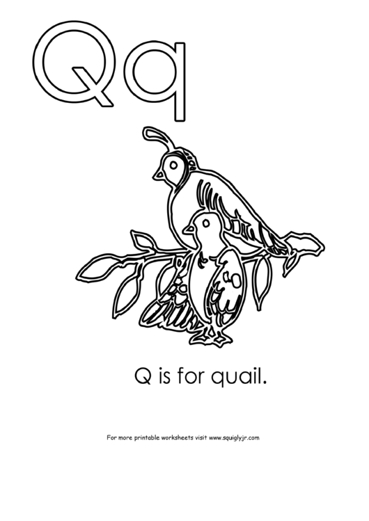 Q Is For Quail Printable pdf