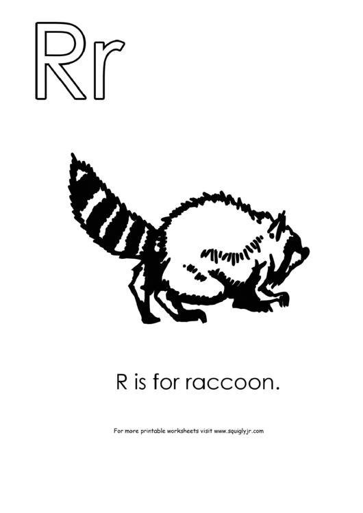 R Is For Raccoon