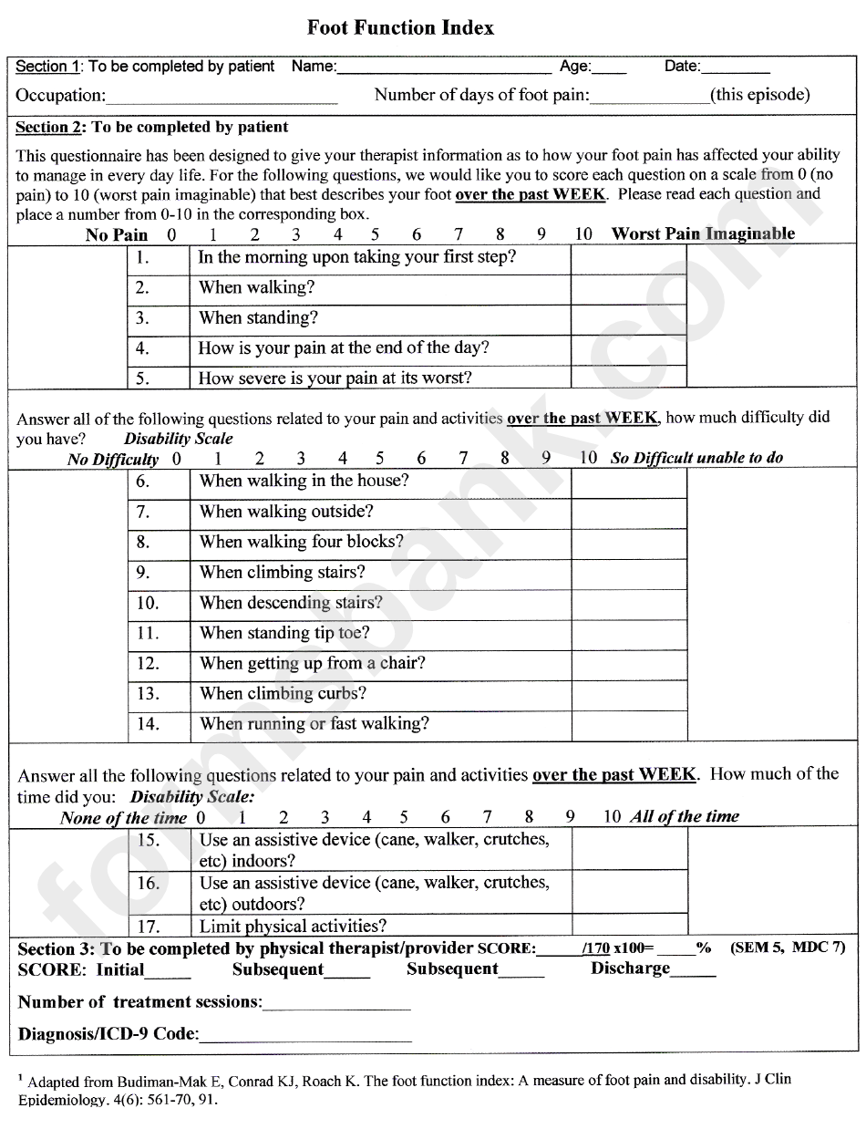 Foot Function Index And Pain Chart Printable Pdf Download