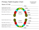 Primary Teeth Eruption Chart