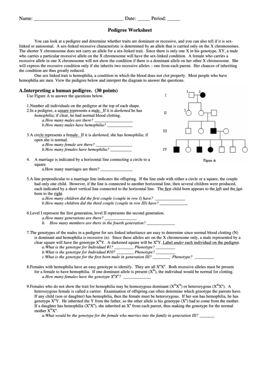 Pedigree Worksheet Template Printable pdf