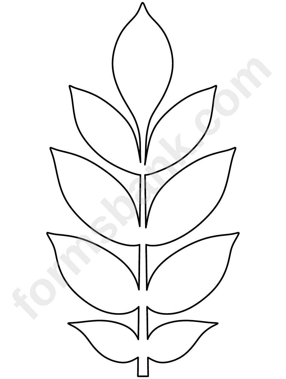 Ash Leaf Pattern