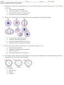 Meoisis And Mitosis Practice Quiz With Answer Key
