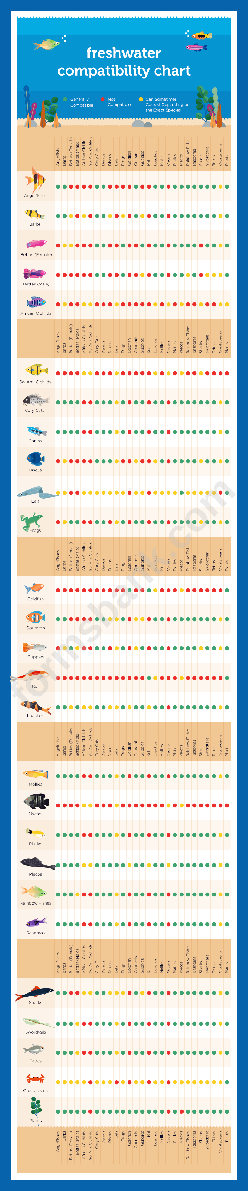 Freshwater Compatibility Chart