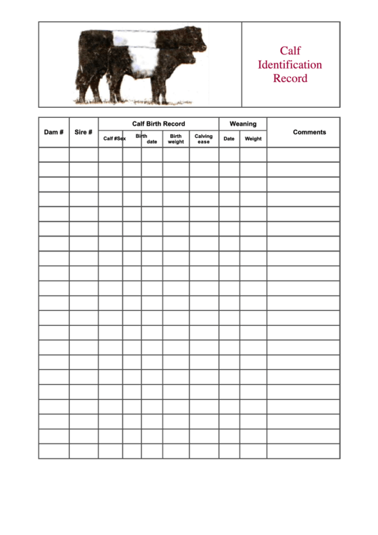 Calf Identification Record Form Printable pdf