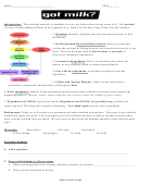 The Scientific Method Worksheets Printable pdf