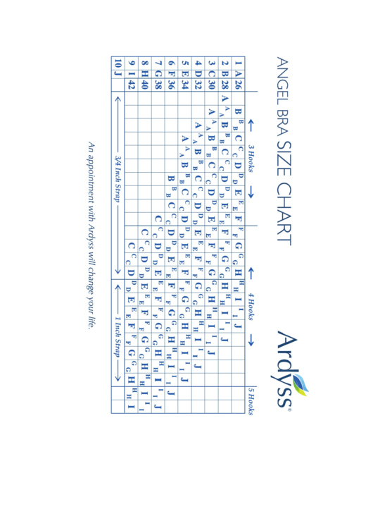 Ardyss Angel Bra Size Chart Printable pdf