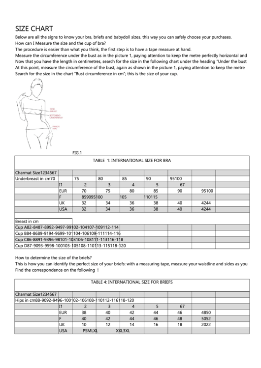 Charmat Italy Bra/briefs Size Chart Printable pdf