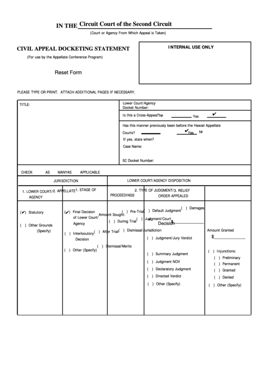 Civil Appeal Docketing Statement Template Printable pdf