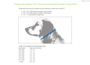 Meijer Sizing Information For Casual Canine Rolled Leather Dog Collar