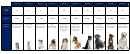 Dogs Size Chart
