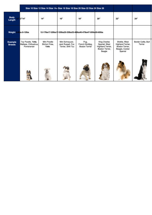 Dogs Size Chart Printable pdf