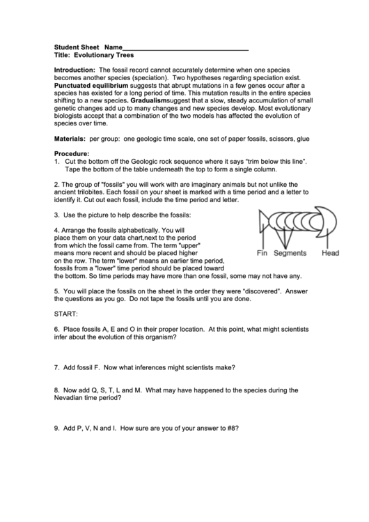 Evolutionary Trees Worksheet Printable pdf
