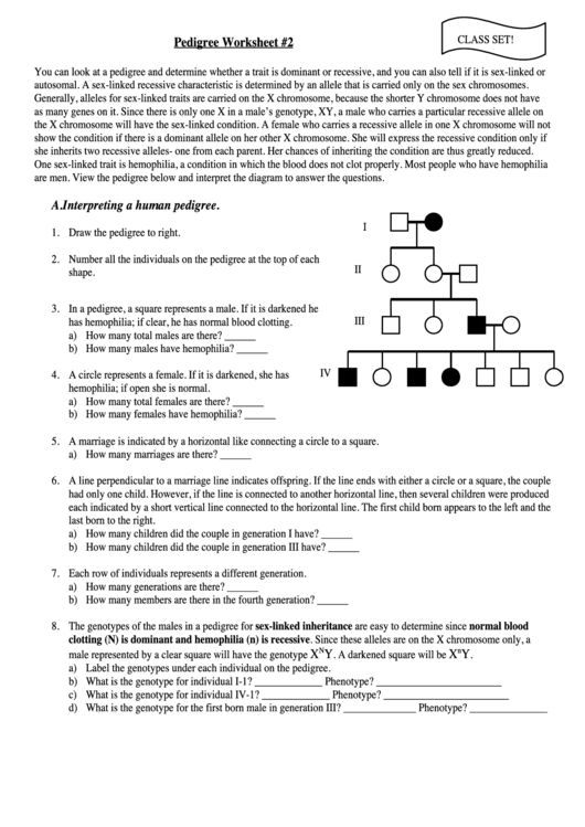 Pedigree Worksheet Biology Worksheet Template printable ...