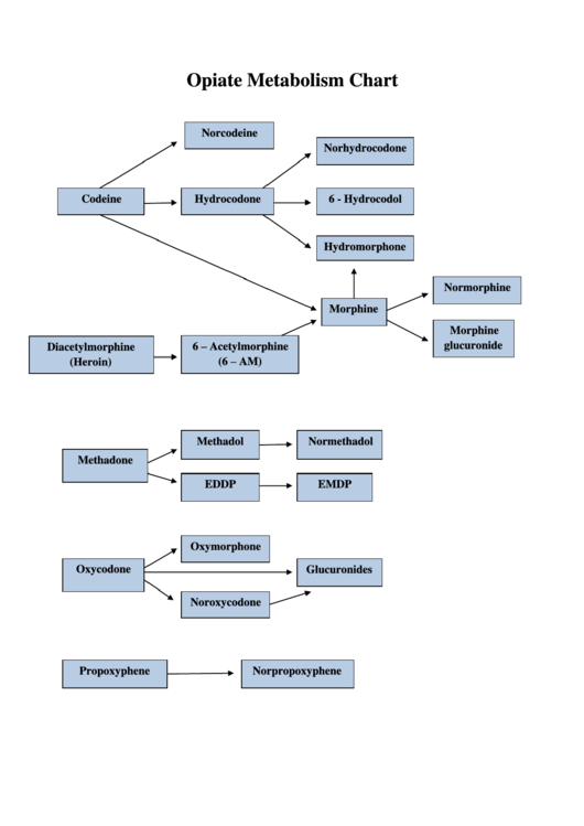 Opiate Metabolism Chart Printable pdf