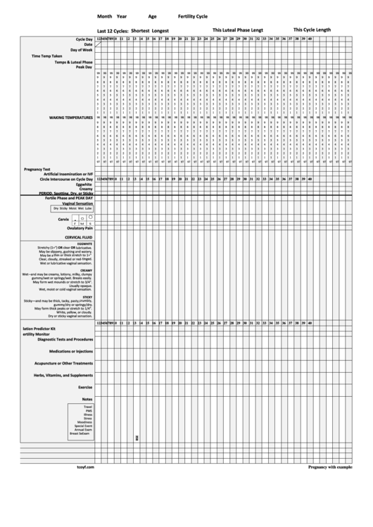 Pregnancy Chart Printable pdf