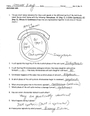 Cell Cycle Worksheet