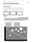 Beyond Our Solar System - Stellar Evolution Worksheet Template Printable pdf