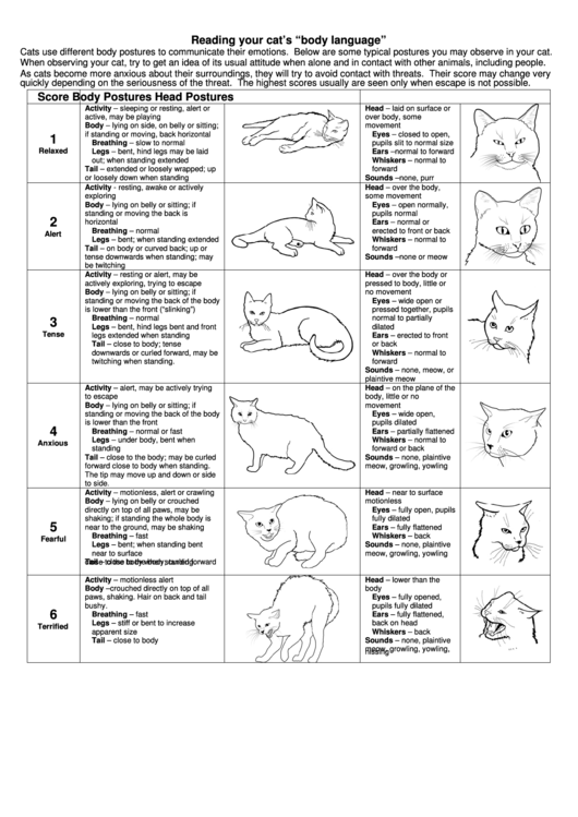  Reading Your Cat S Body Language printable pdf download