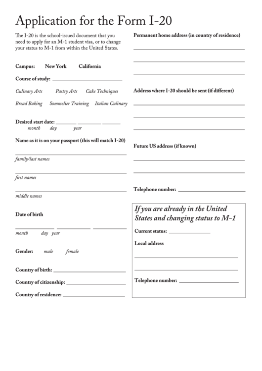 Fillable Application For The Form I-20 - International Culinary Center Printable pdf