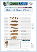 Bristol Stool Chart - Carbs & Cals