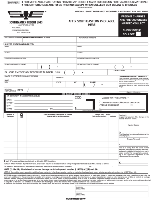 Fillable Bills Of Lading - Southeastern Freight Lines Printable pdf