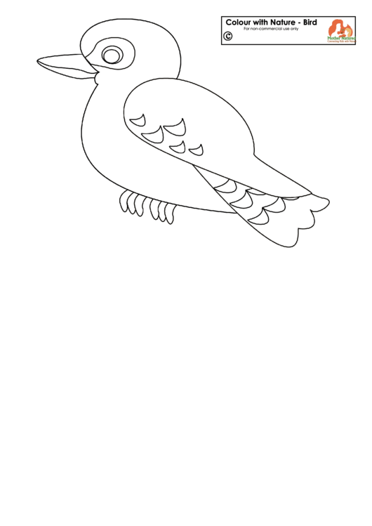 Color With Nature - Bird Printable pdf