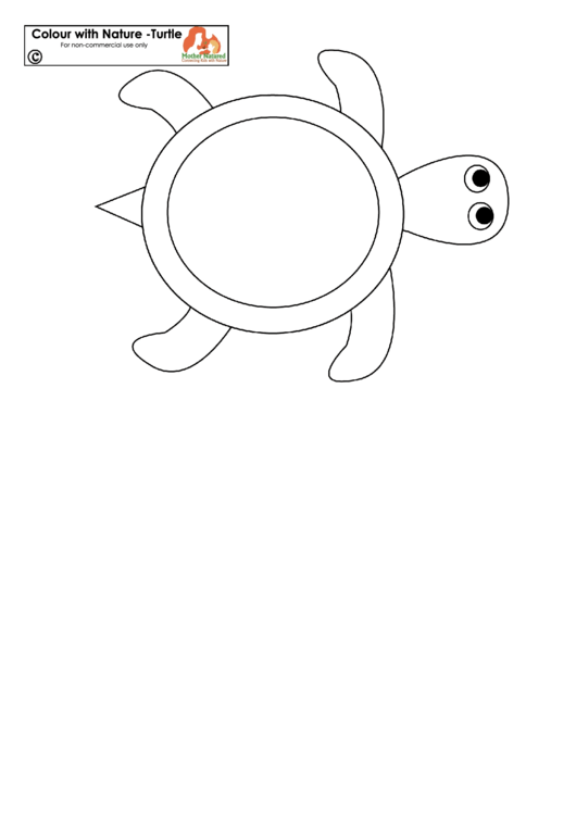 Turtle Coloring Sheet Printable pdf