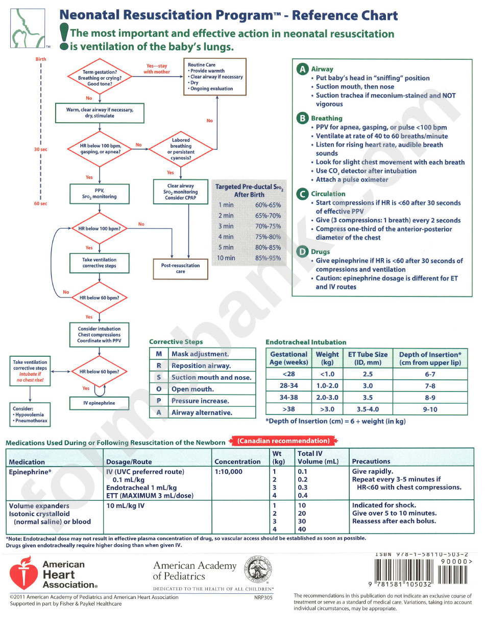 Printable Nrp Algorithm Web The 2020 Neonatal Resuscitation Guidelines