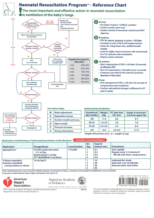 Neonatal Resuscitation Algorithm Printable pdf