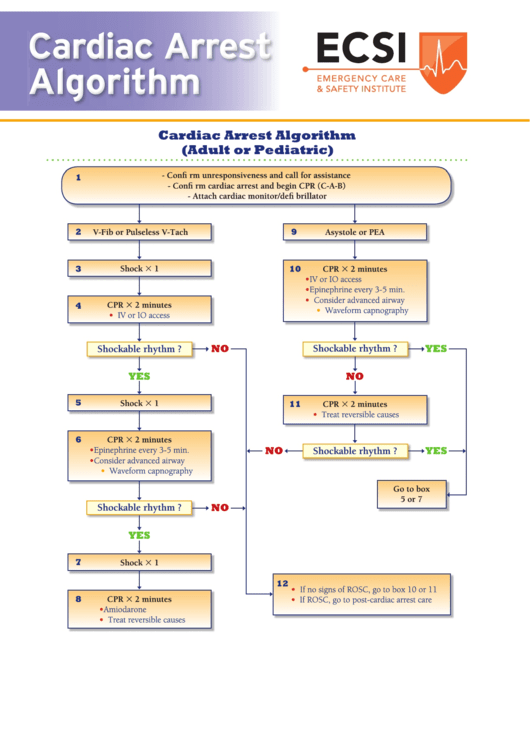 Cardiac Arrest Algorithm (Adult Or Pediatric) Printable pdf