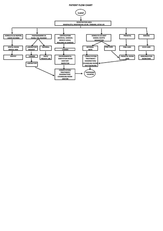 Patient Flow Chart Printable pdf