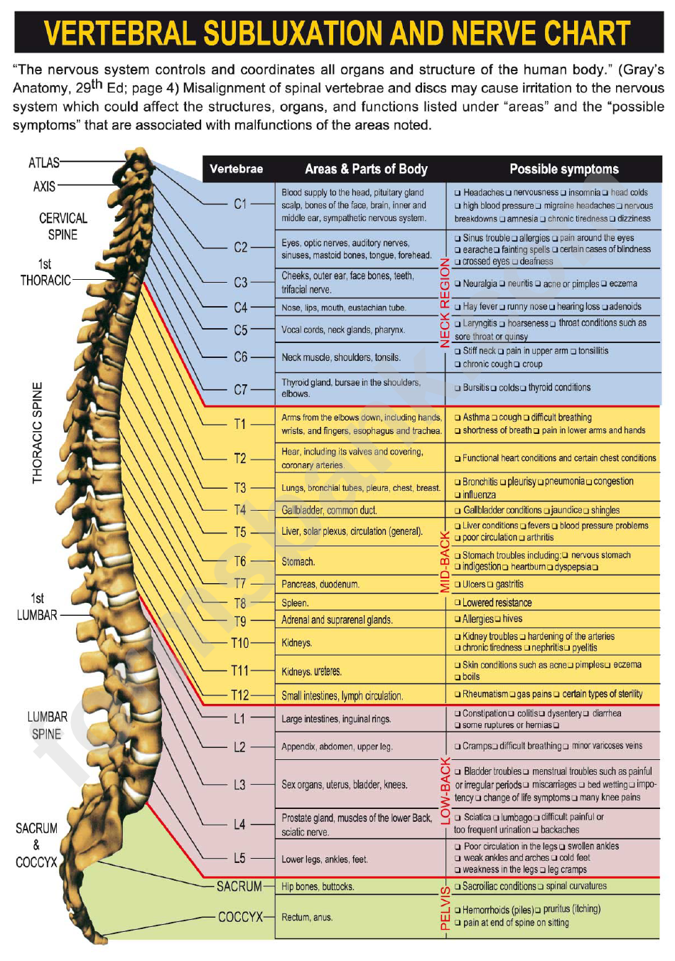 Vertebral Subluxation And Nerve Chart