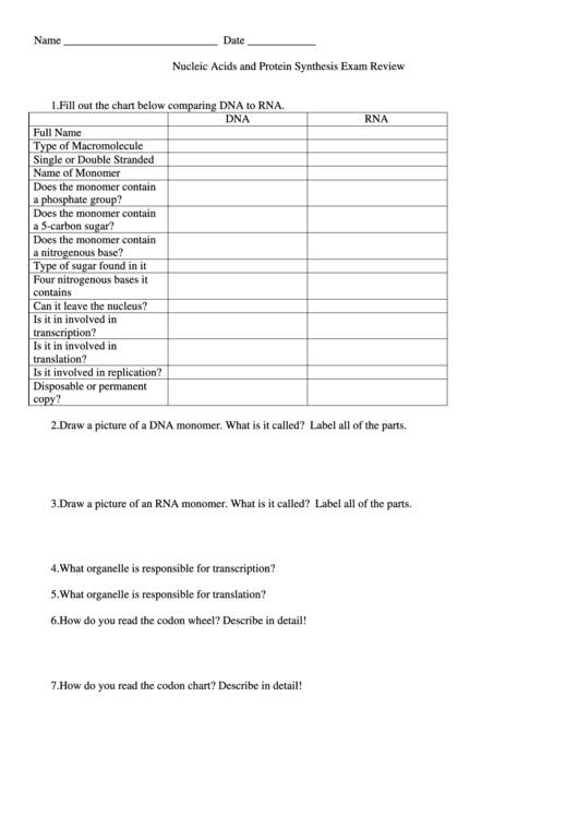 Nucleic Acids And Protein Synthesis Exam Review Printable pdf
