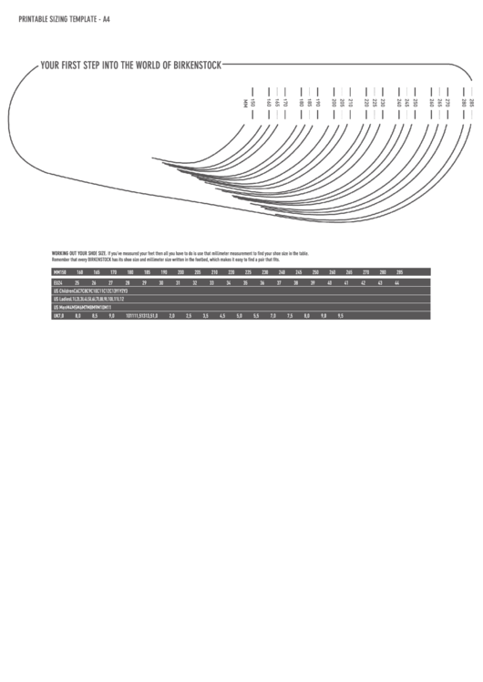 Birkenstock Shoe Size Chart printable pdf download