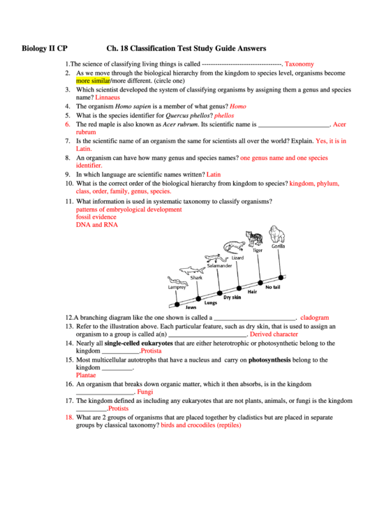 Biology Ii Cp Ch. 18 Classification Test Study Guide Answers Printable pdf
