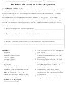 The Effects Of Exercise On Cellular Respiration Biology Lab Report Template Printable pdf