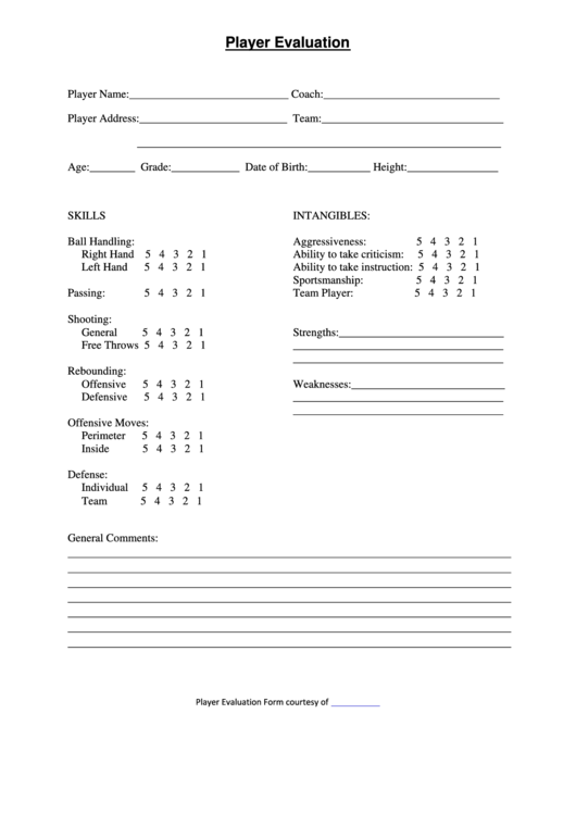 Player Evaluation Form