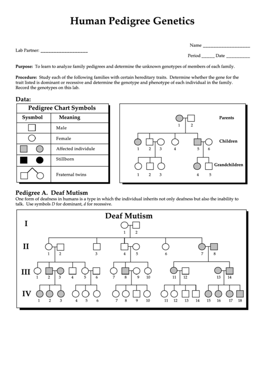Human Pedigree Genetics - Biology Worksheet Printable pdf
