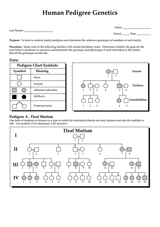 Pedigree Worksheet Biology