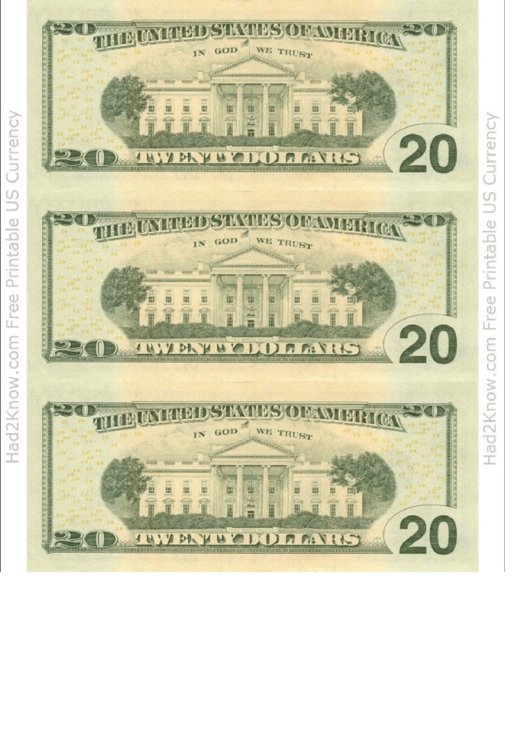 Twenty Dollar Bill Template - Back
