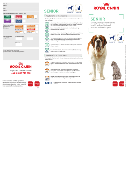 Dog Years And Life Expectancy Chart Printable pdf