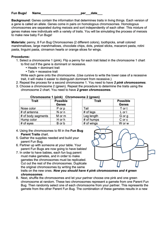 Student Worksheet - Fun Bugs Printable pdf