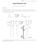 Saponification Lab Printable pdf