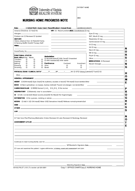 Nursing Home Progress Note Printable pdf