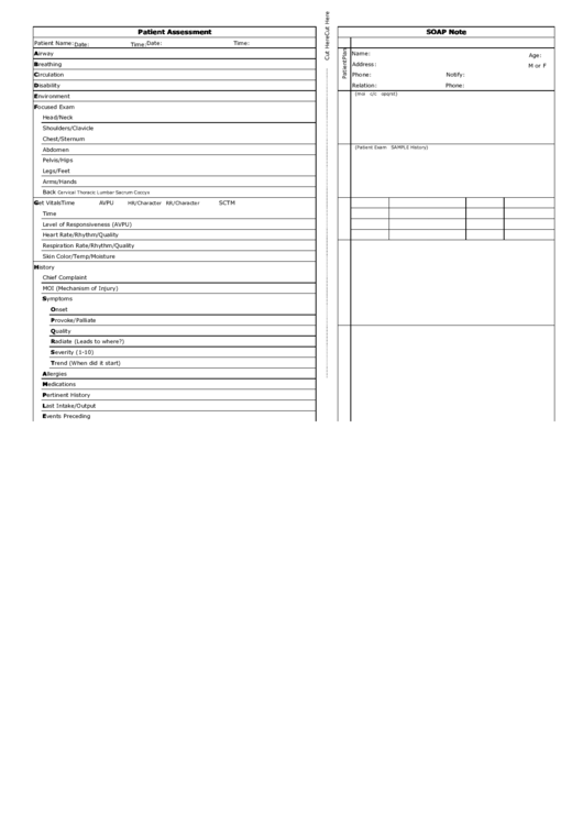 Patient Assessment & Soap Note Template Printable pdf